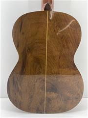 Giannini Classical Nylon Guitar AWN25A